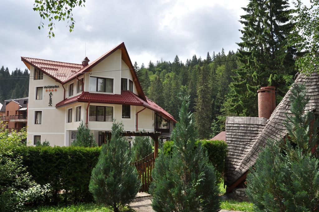 Pensiunea Sura Dacilor - Alex Poiana Brašov Exteriér fotografie